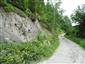 užovka hladká (6.7.2013)